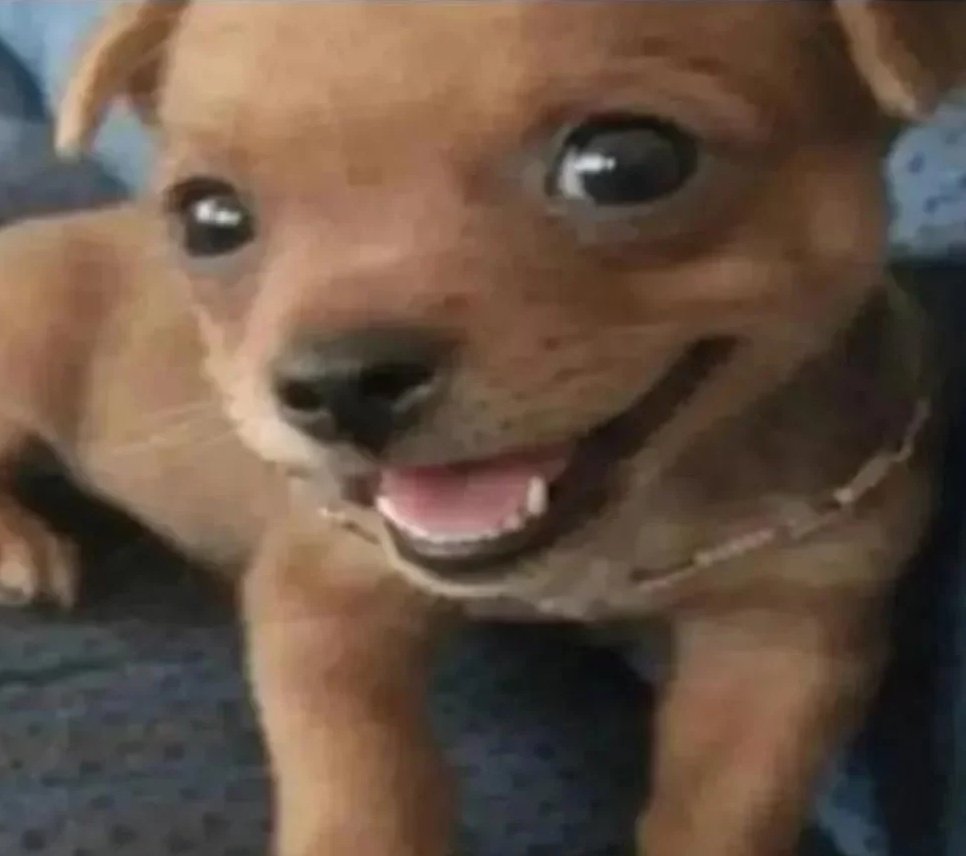 _harperking_'s tweet image. Mané me mandar, só faz se EU pedir
Fora que precisa ter certa intimidade, e é claro, bastante tesão, sem isso NAO DA, nem tente #informando