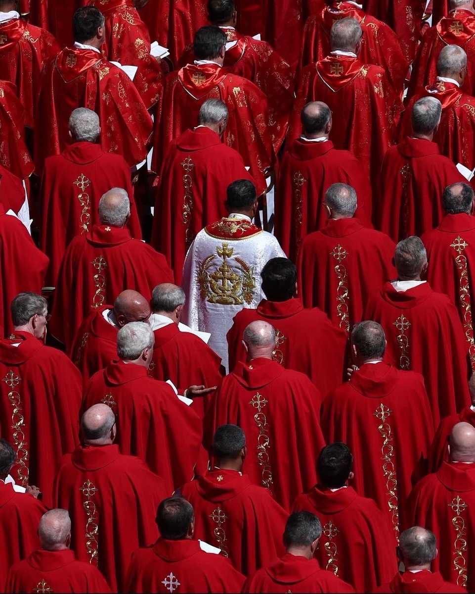 Aesthetic.Guyy tweet media