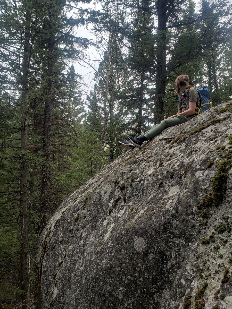 MT Thoughts tweet media