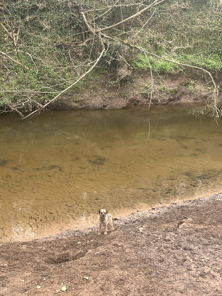 Freddie Red CBE tweet media