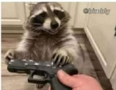 REAL BANNED PEPE tweet media