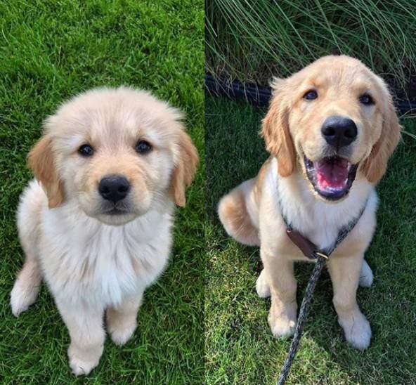 Michael Da Silva tweet media