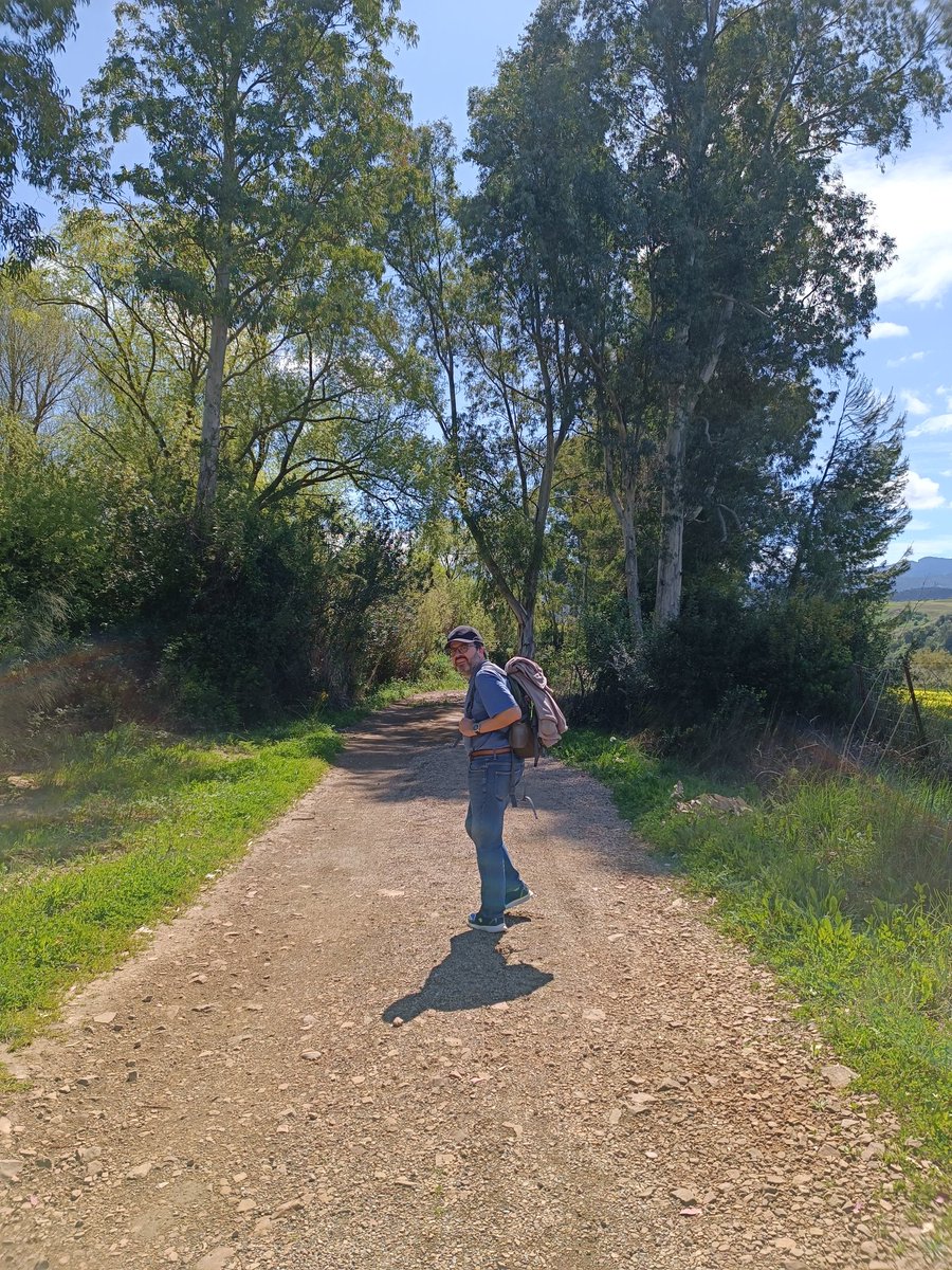 📈J.J. Gonzalez💻 tweet media