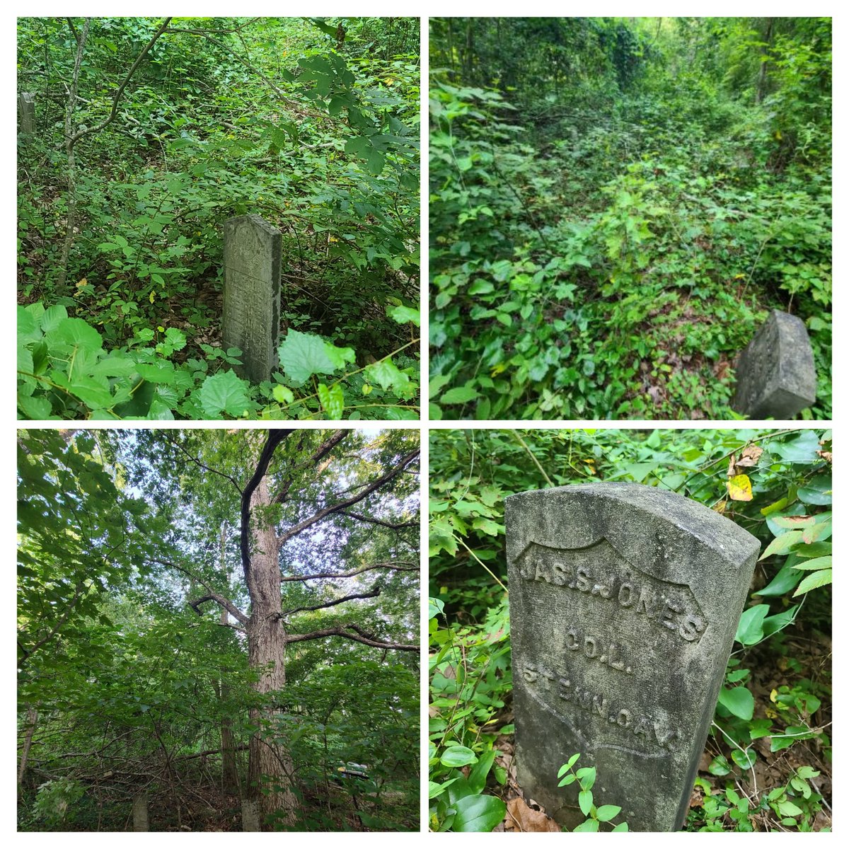 Jackson Action 📷 tweet media