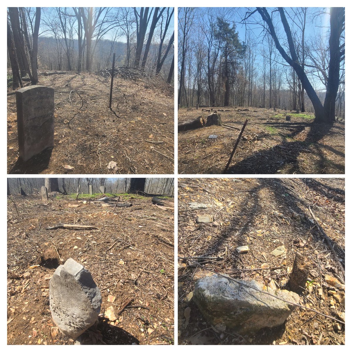 Jackson Action 📷 tweet media