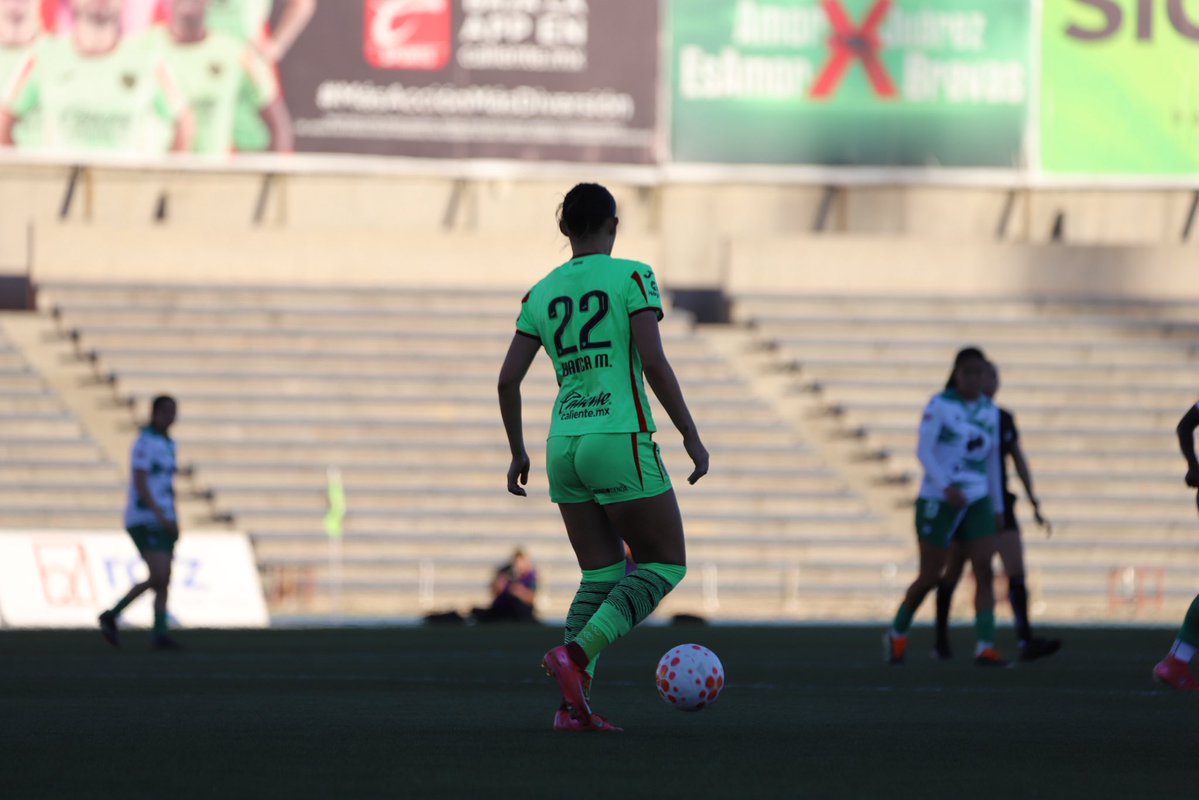 Bianca Mora 🐝 tweet media