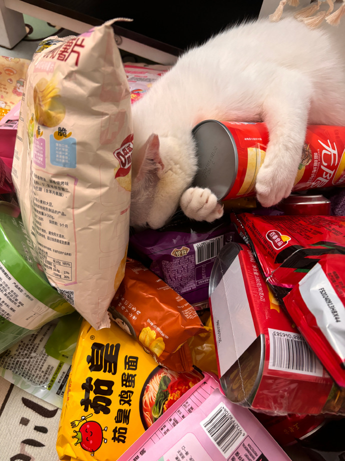 JORDANDJ(JDJ) tweet media