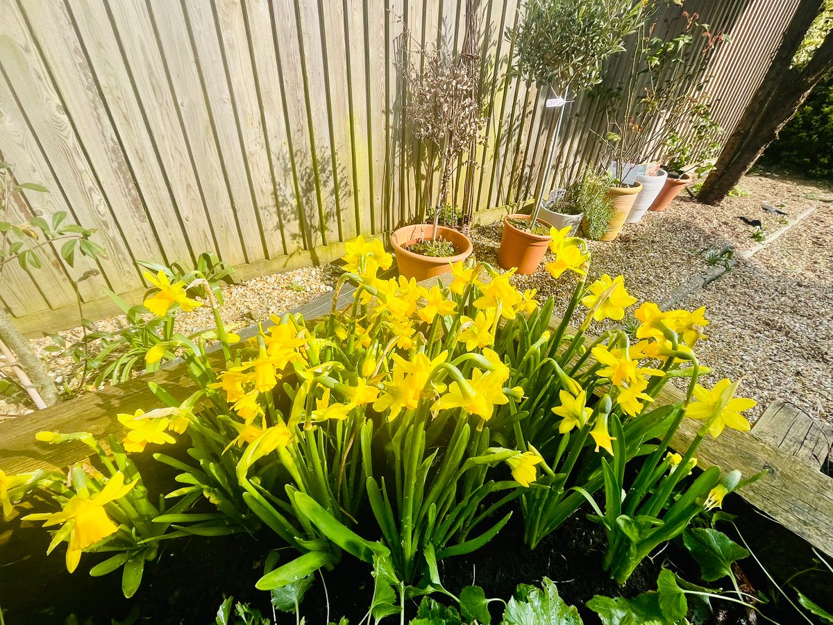 Yvonne Dwerryhouse tweet media