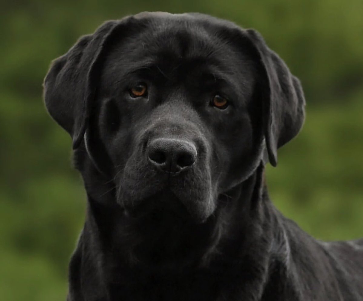 Rebecca 🇺🇸 🦅 tweet media