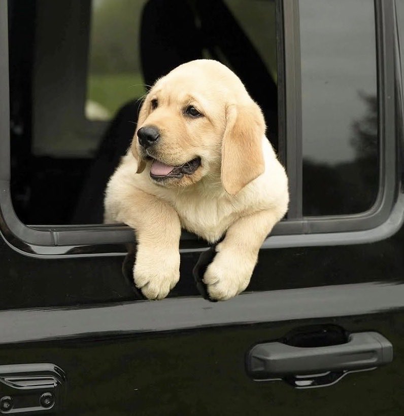 Rebecca 🇺🇸 🦅 tweet media