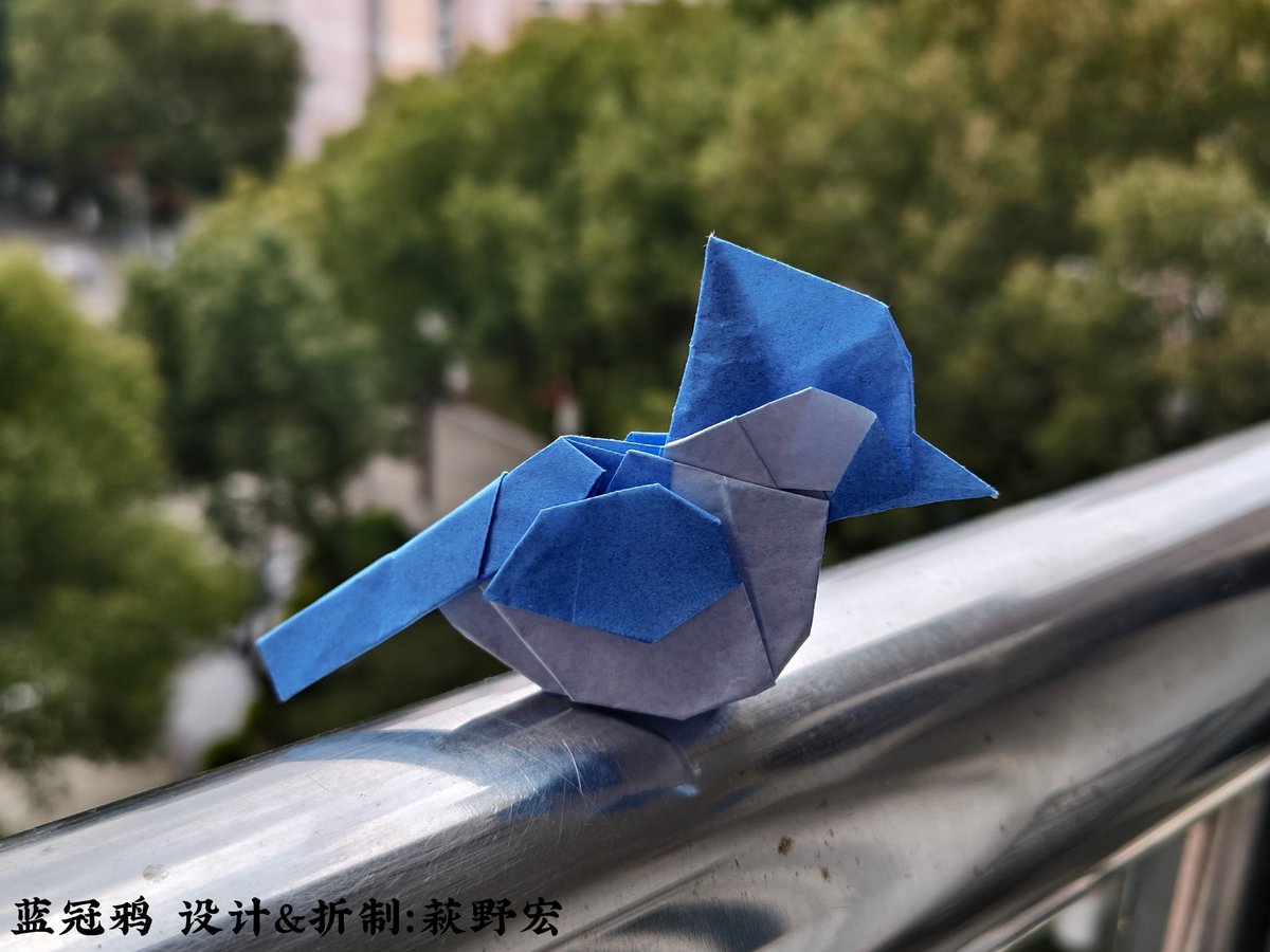 萩野宏HaginoHiroshi tweet media