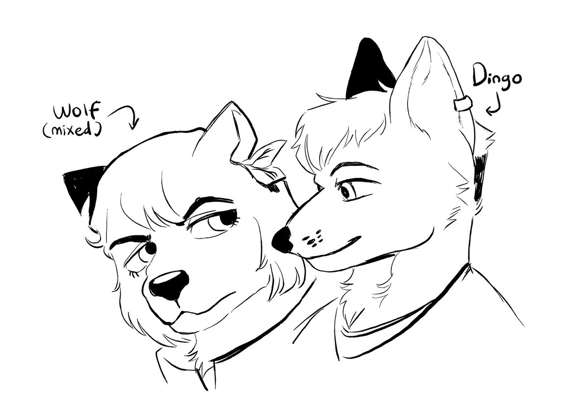 Soren 💫 PACKING MAIL ORDER tweet media