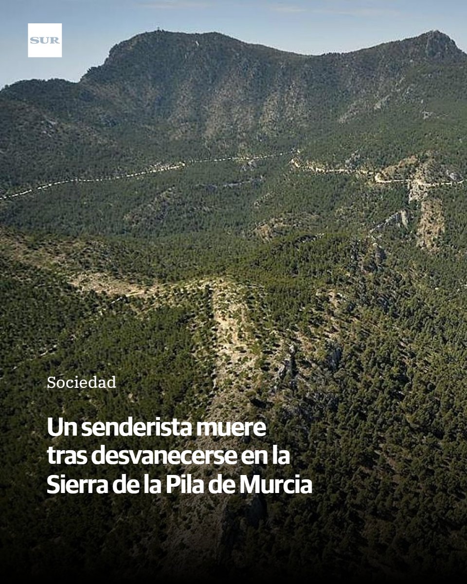 SUR. El periódico de Málaga tweet media