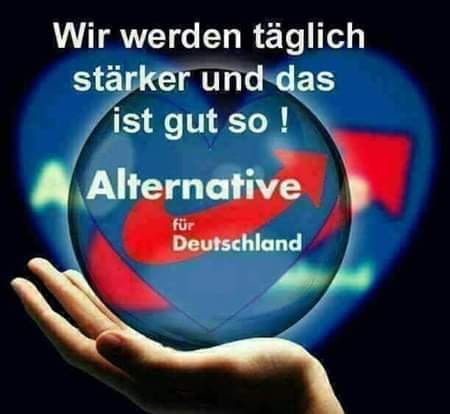 afd_georg's tweet photo. @Alice_Weidel https://t.co/xPP4nQg3gq
