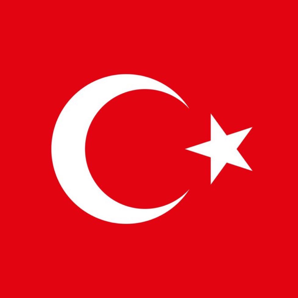 Türkçü Çizgi tweet media