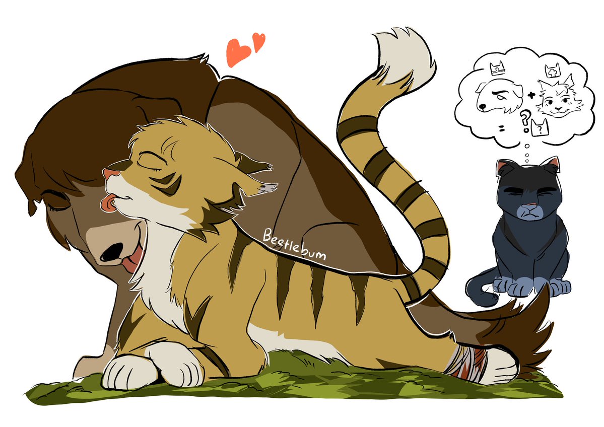 Soren 💫 PACKING MAIL ORDER tweet media