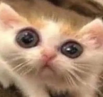 Kira 土✧ tweet media