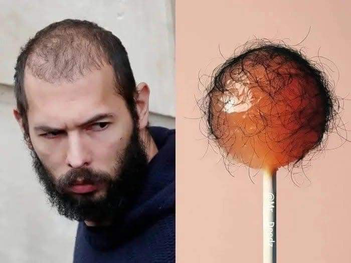 Rameses Niblick III tweet media