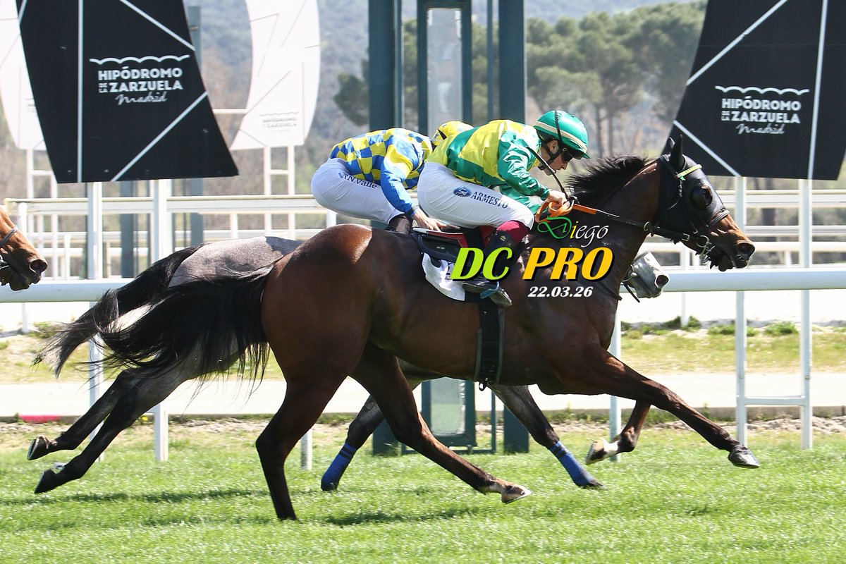 DC PRO 🐎 tweet media