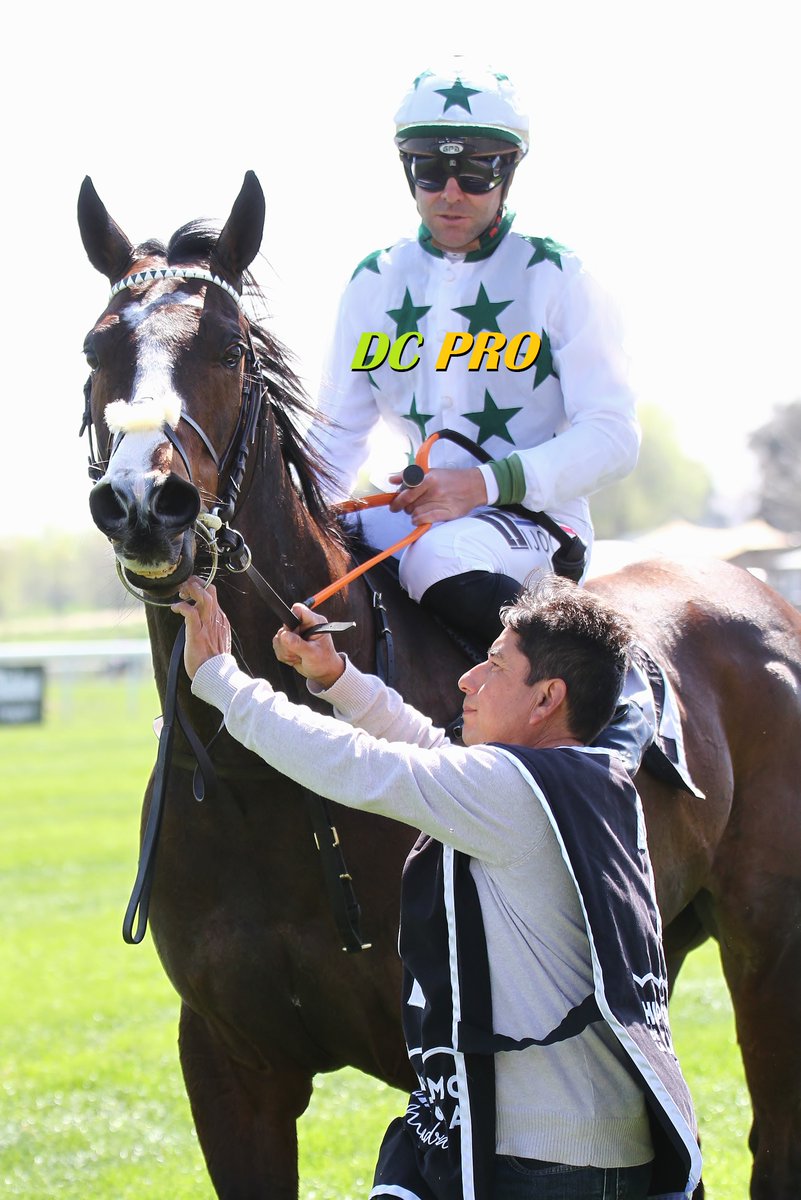 DC PRO 🐎 tweet media