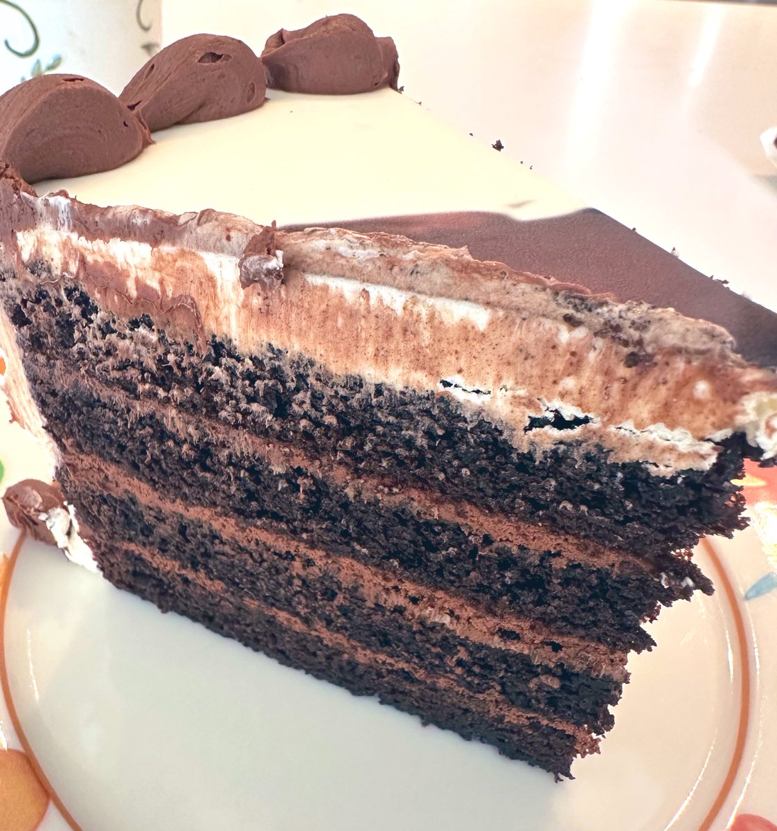 free_style_chef's tweet image. Why yes, I will have a giant piece of chocolate cake for lunch today. 

I am an adult and can make suc decisions. 😋🍰🍫

#dessert #sweettreat