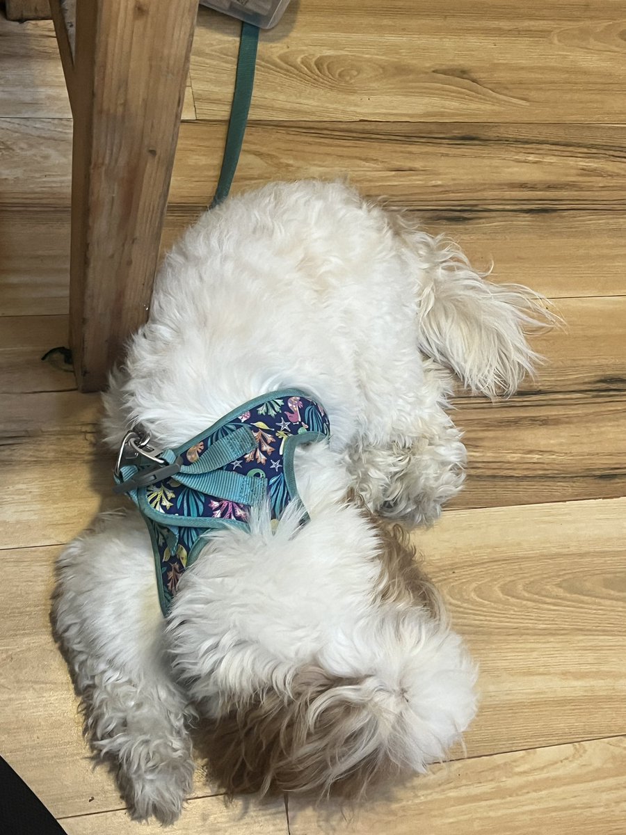 Soumya Gupta tweet media