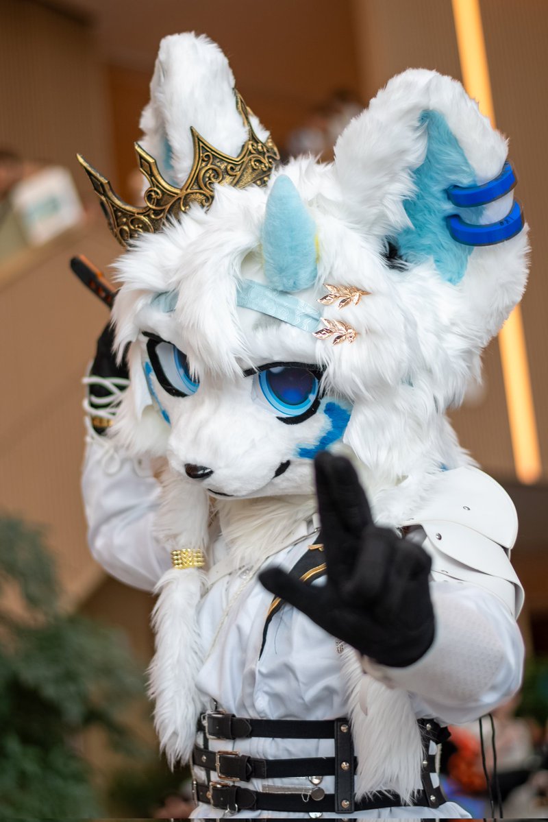 Cold（克洛） tweet media