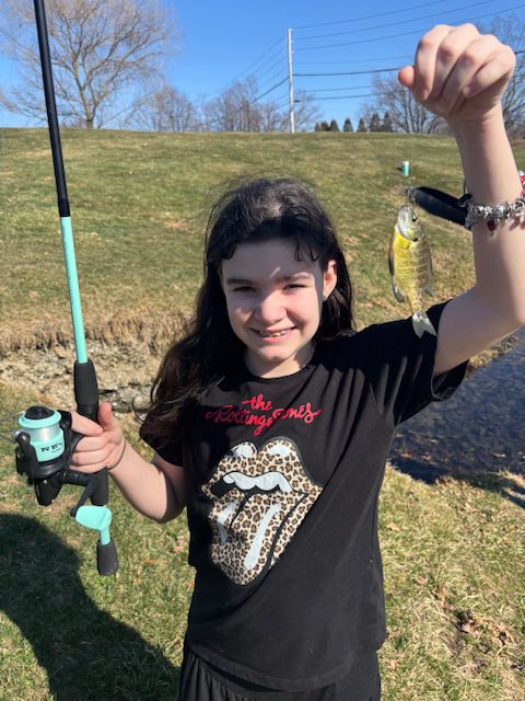 The Ike Foundation tweet media