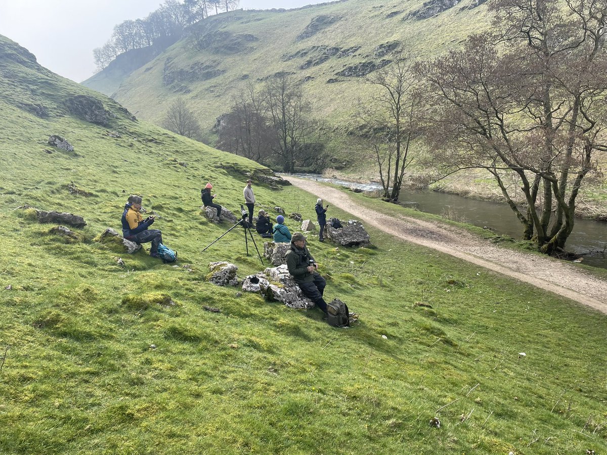 A very successful walk today at Wolfscote Dale.
35 species including Dipper, Grey Wagtail, Chiffchaff, Buzzard, Red Kite and a lovely Little Owl.