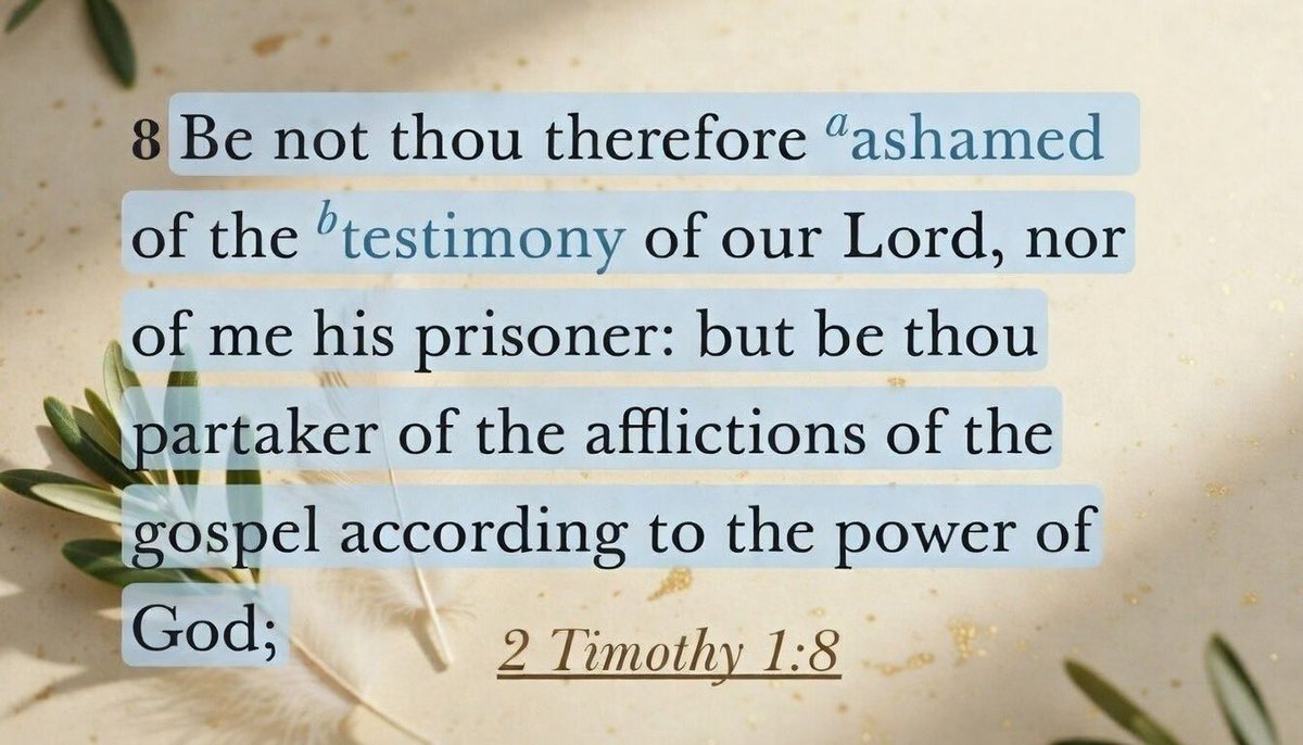 Tavydawn3 tweet media