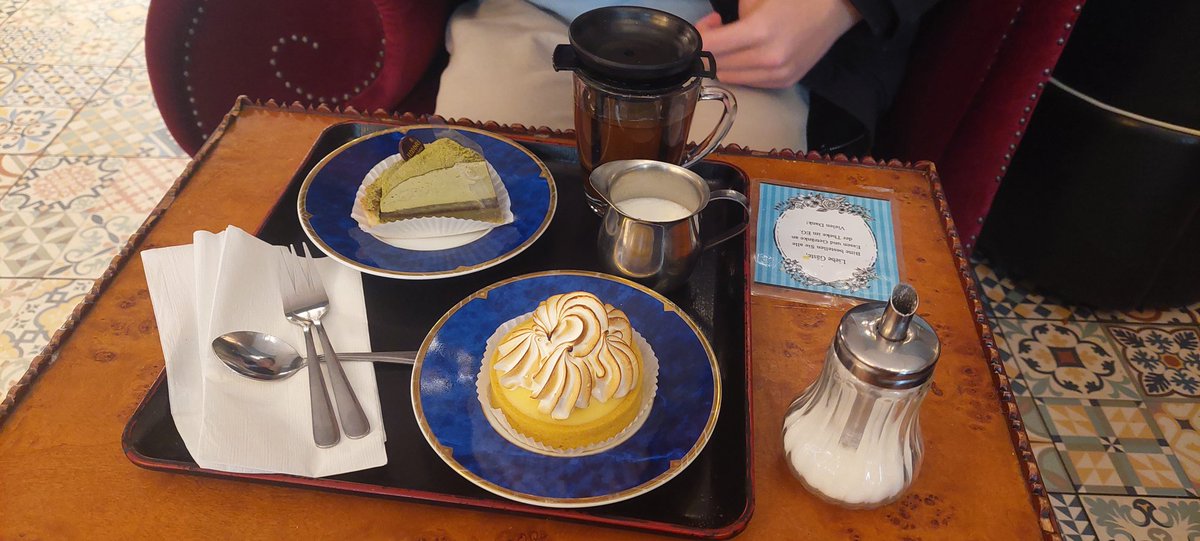 Sol 🏳️‍⚧️ tweet media