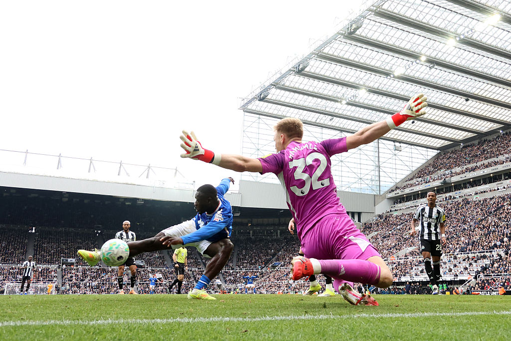 Dominic Scurr tweet media