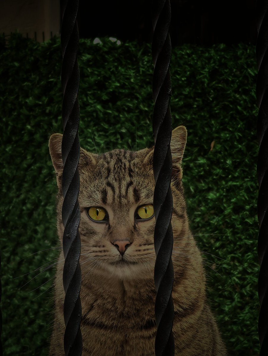 Efeyinyo tweet media