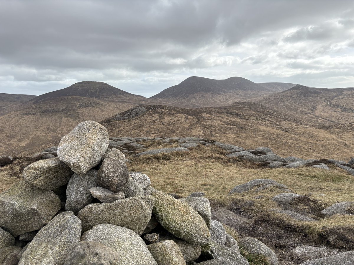 Campbell College Librarian tweet media