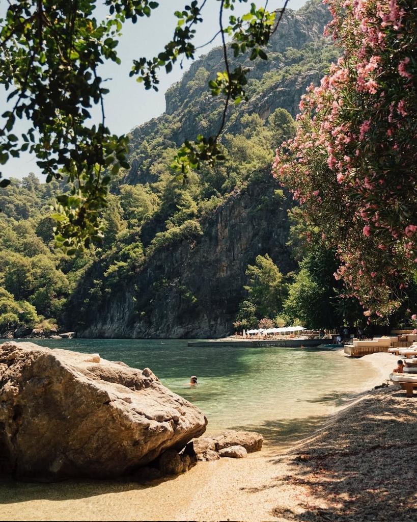 The Nature tweet media