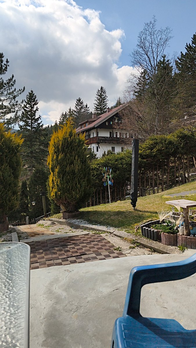 Anton lipp tweet media