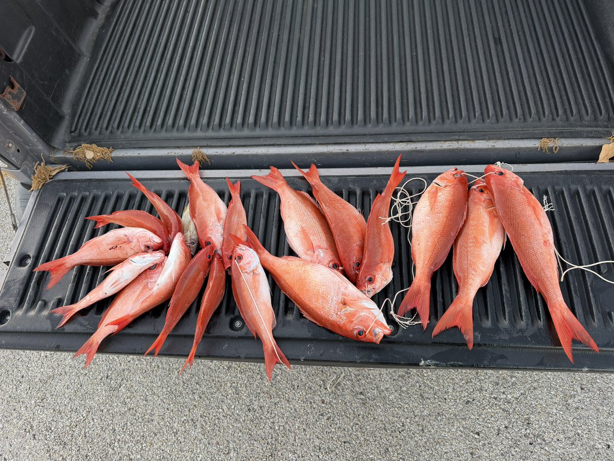 Matt 📹💻 tweet media