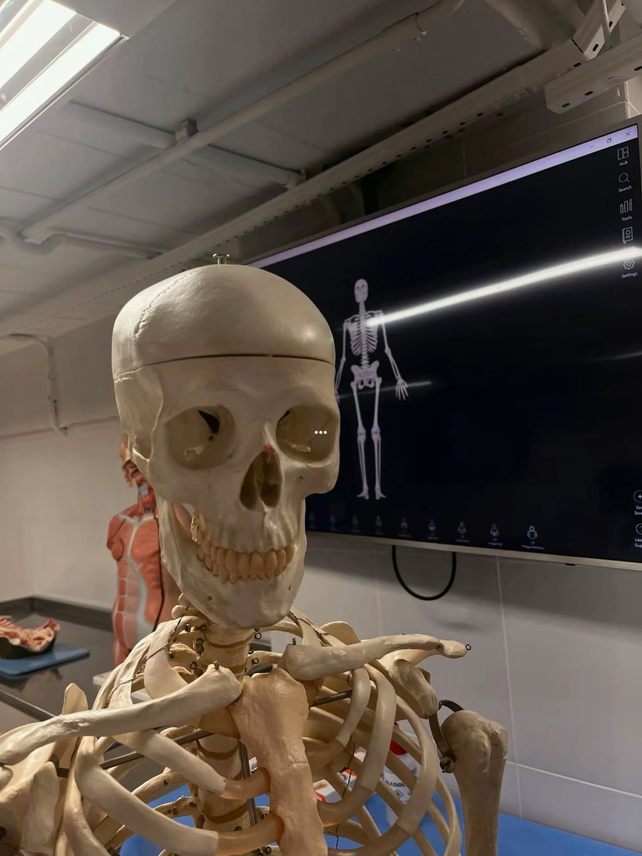 gabs 🩺🧠📚 |FERRETO:GABS tweet media