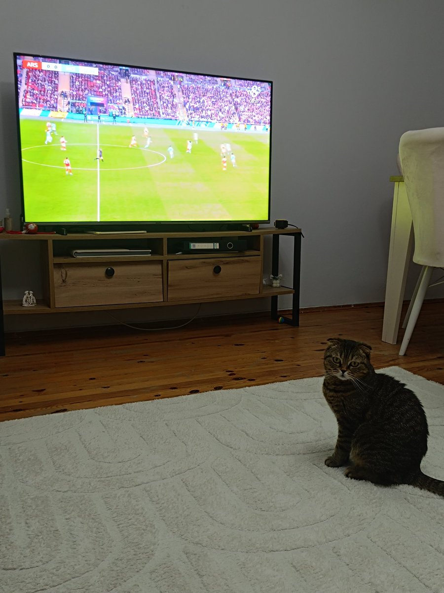 Temirhan Bey tweet media