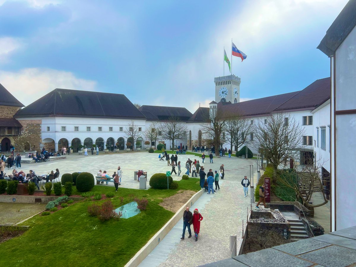 Josh Maskill tweet media