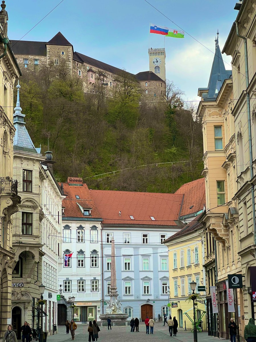 Josh Maskill tweet media