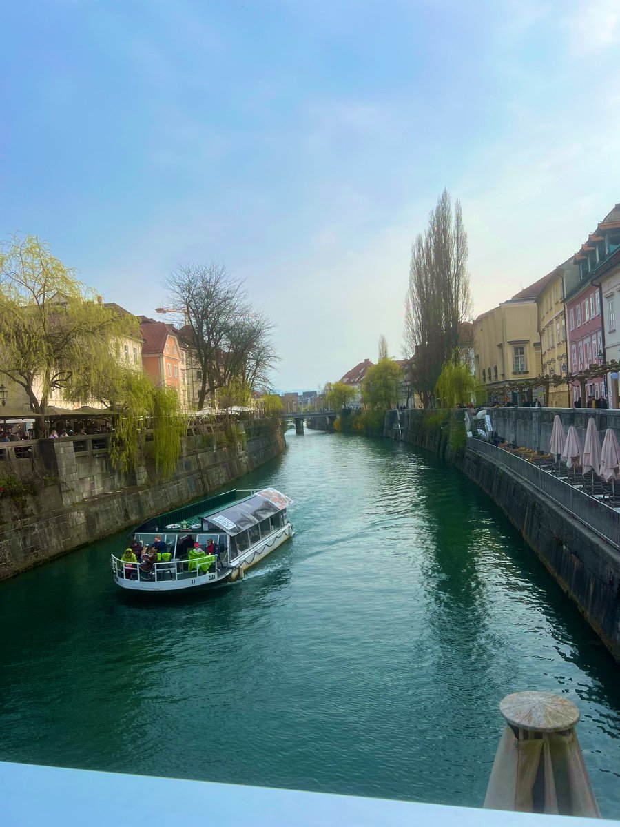 Josh Maskill tweet media