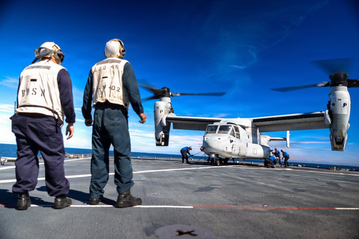 Darius Radzius tweet media