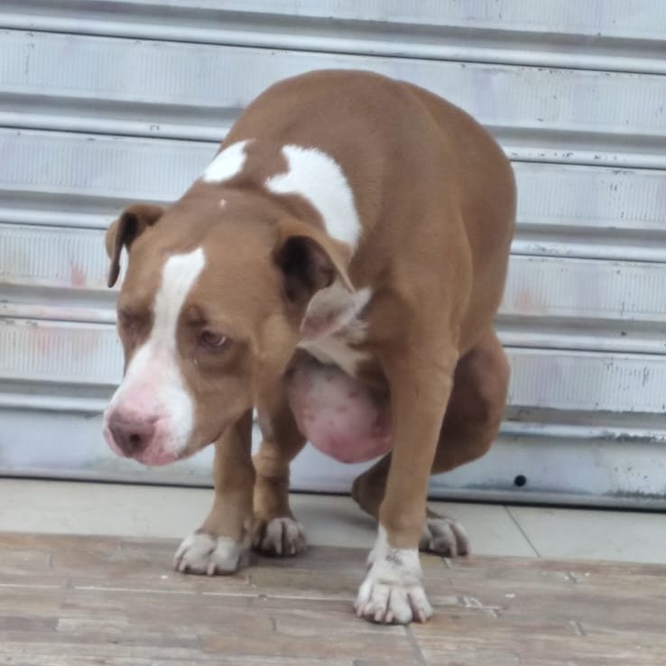 𝒏 𝒂 𝒍 𝒐 🐝 tweet media