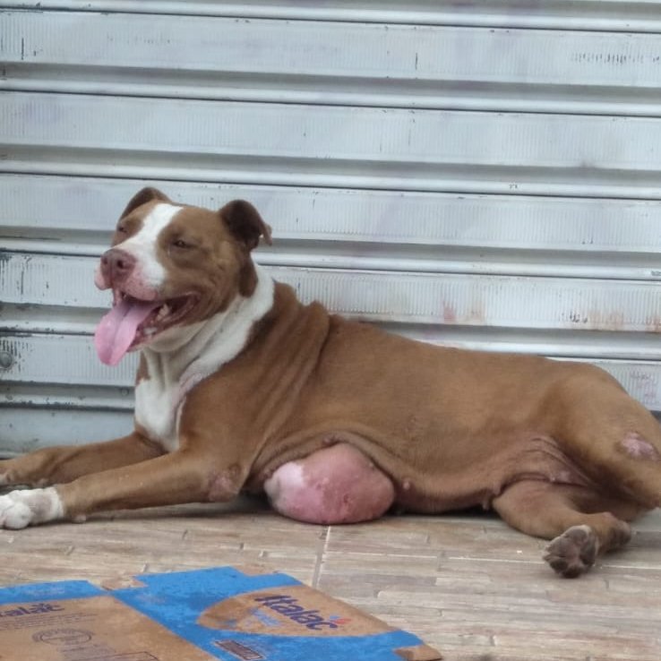 𝒏 𝒂 𝒍 𝒐 🐝 tweet media