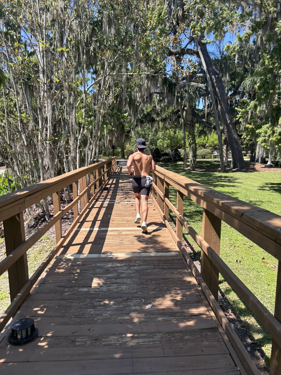 Dueling Park News tweet media