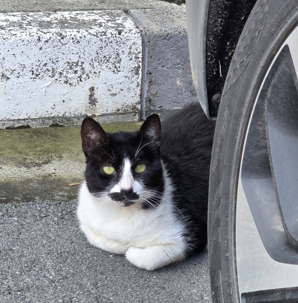 🍉 Watermelon Sugar tweet media