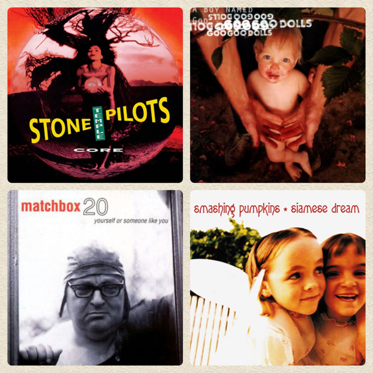 Meghan Banks tweet media