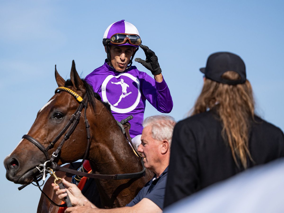 agentes305's tweet photo. The talented OUTFIELDER (3yoC Speightstown) returned a winner in 2026 with a strong performance in the Animal Kingdom Stakes at @TurfwayPark ridden by John Velazquez for trainer Wesley Ward and the connections of @twoeight_racing  @amoracingltd and @riley_ward1 

El talentoso OUTFIELDER (macho de 3 años, hijo de Speightstown) regresó a la senda del triunfo en 2026 con una sólida actuación en el Animal Kingdom Stakes en Turfway Park, montado por John Velazquez para el entrenador Wesley Ward

📸 @mmae_photos Agentes 305