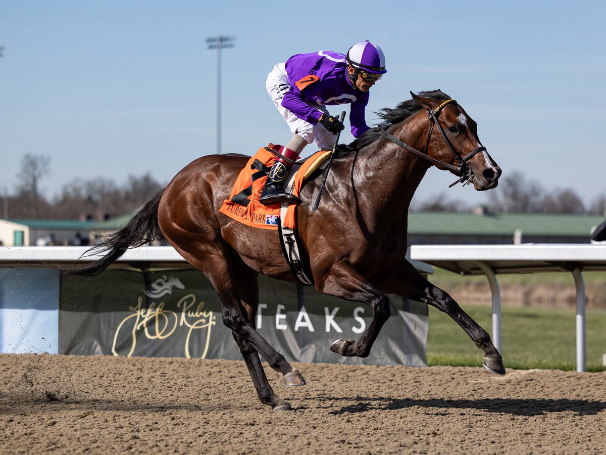agentes305's tweet photo. The talented OUTFIELDER (3yoC Speightstown) returned a winner in 2026 with a strong performance in the Animal Kingdom Stakes at @TurfwayPark ridden by John Velazquez for trainer Wesley Ward and the connections of @twoeight_racing  @amoracingltd and @riley_ward1 

El talentoso OUTFIELDER (macho de 3 años, hijo de Speightstown) regresó a la senda del triunfo en 2026 con una sólida actuación en el Animal Kingdom Stakes en Turfway Park, montado por John Velazquez para el entrenador Wesley Ward

📸 @mmae_photos Agentes 305